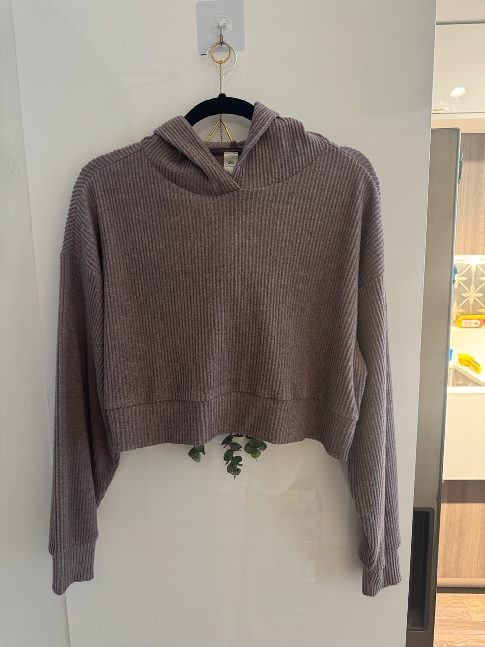 ALO Yoga Ribbed Cropped Hoodie - Taupe Mauve